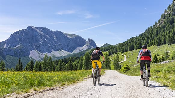 重磅发布！一张图洞悉2017中国企业健康管理白皮书